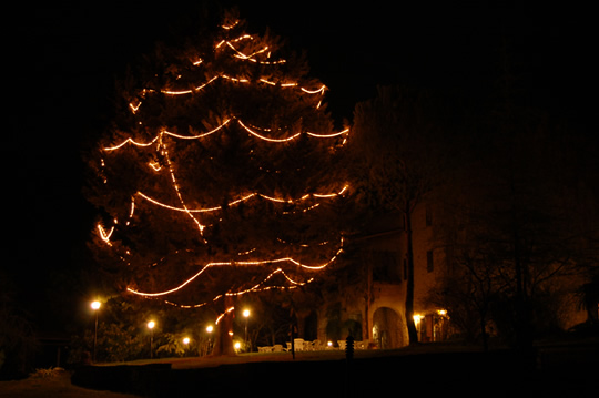 il nostro Albero di Natale