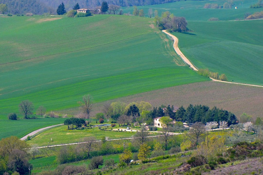 veduta panoramica zona agriturismo